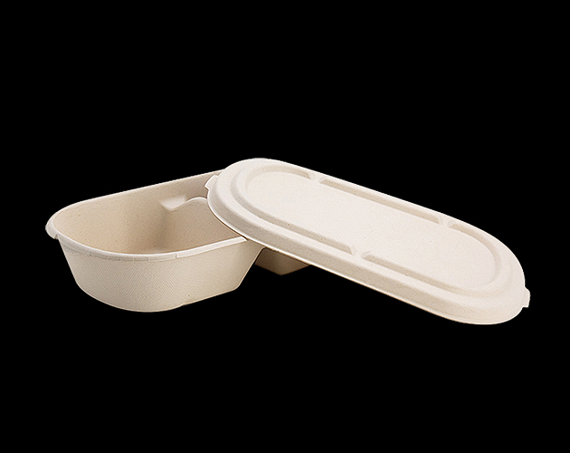 Pulp molding